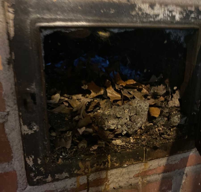 Full Chimney Clean Out